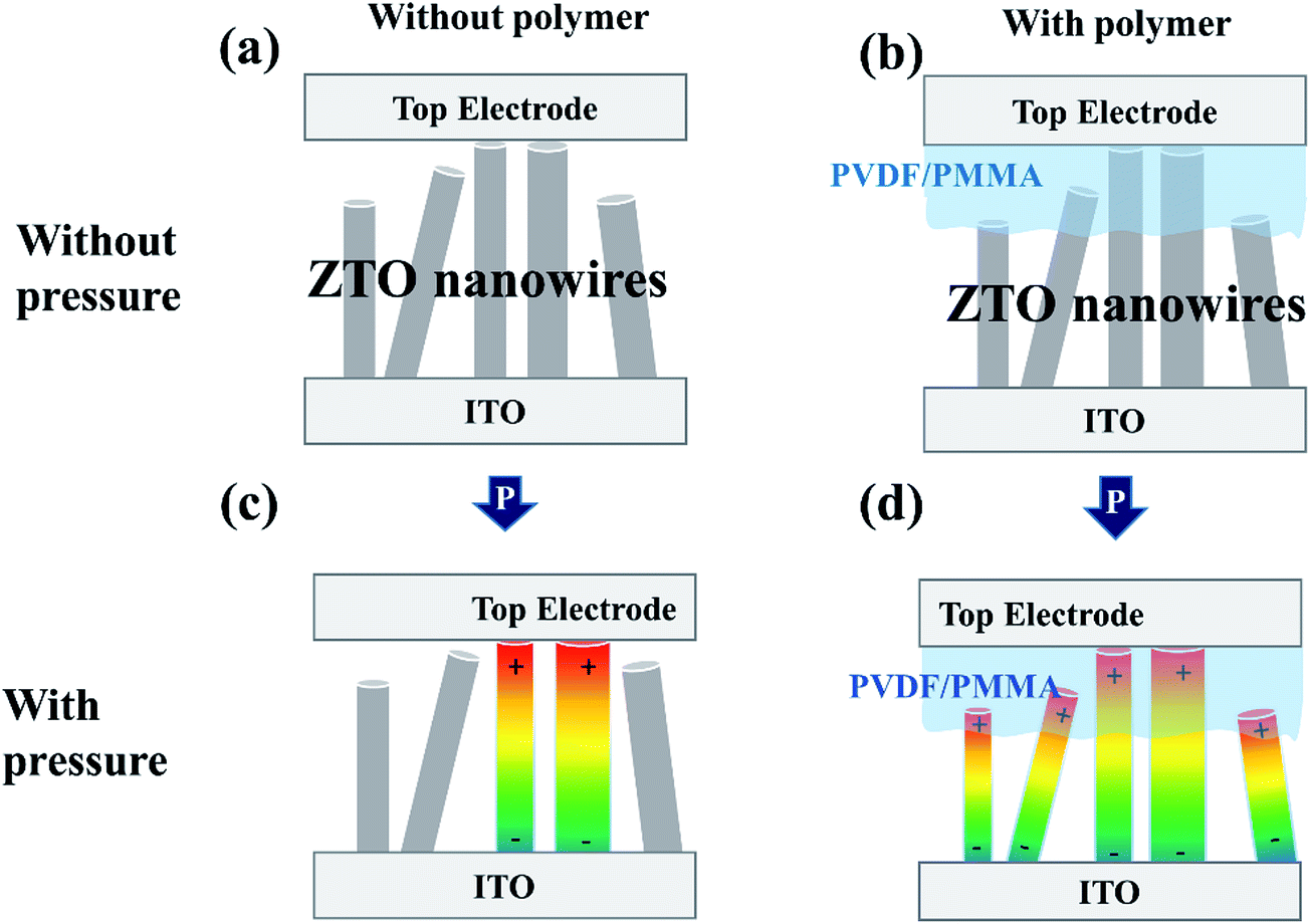 synergistic piezophotocatalytic and photoelectrochemical