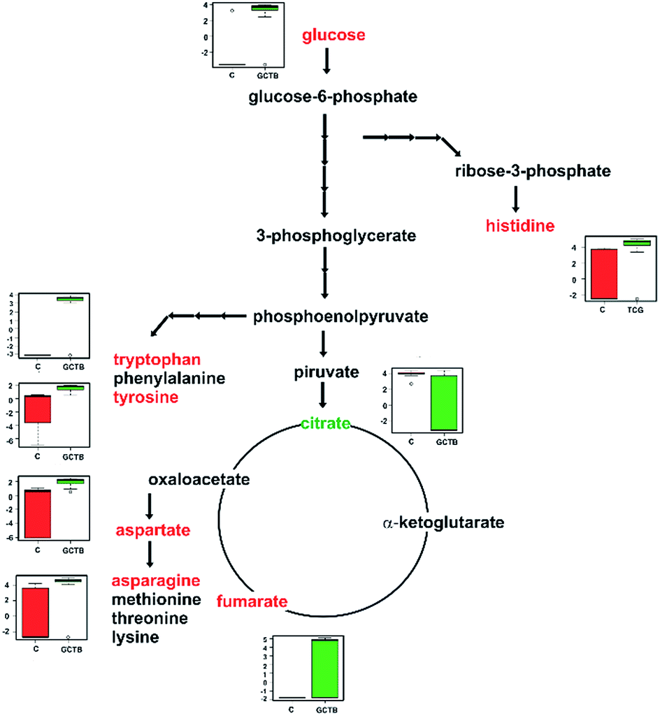 aspartate,glutamate host metabolic pathways for amino acids: asparagine, aspartate