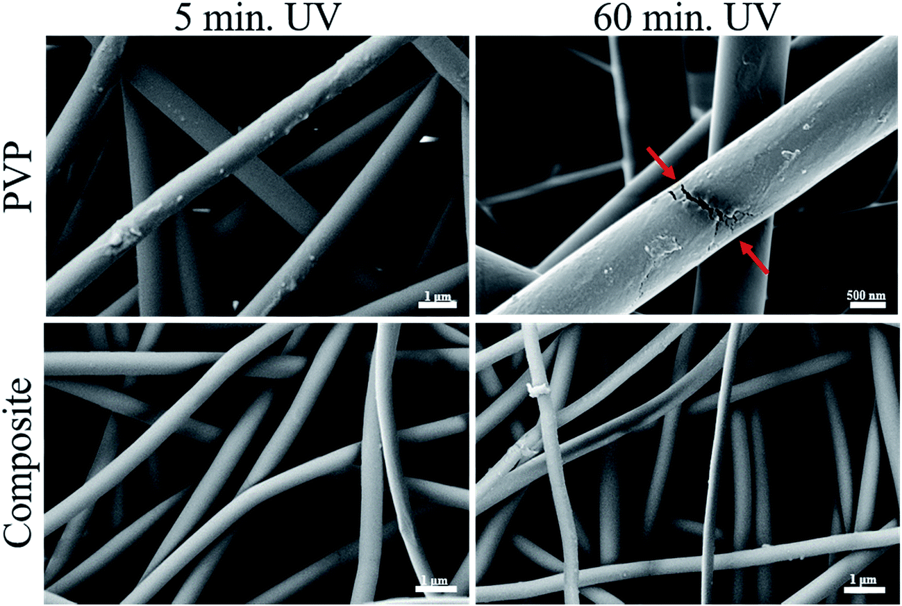 towards the development of multifunctional hybrid