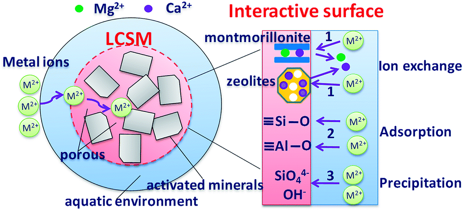 positive ions,positive removal of cd(ii) and pb(ii) ions from natural water using a low