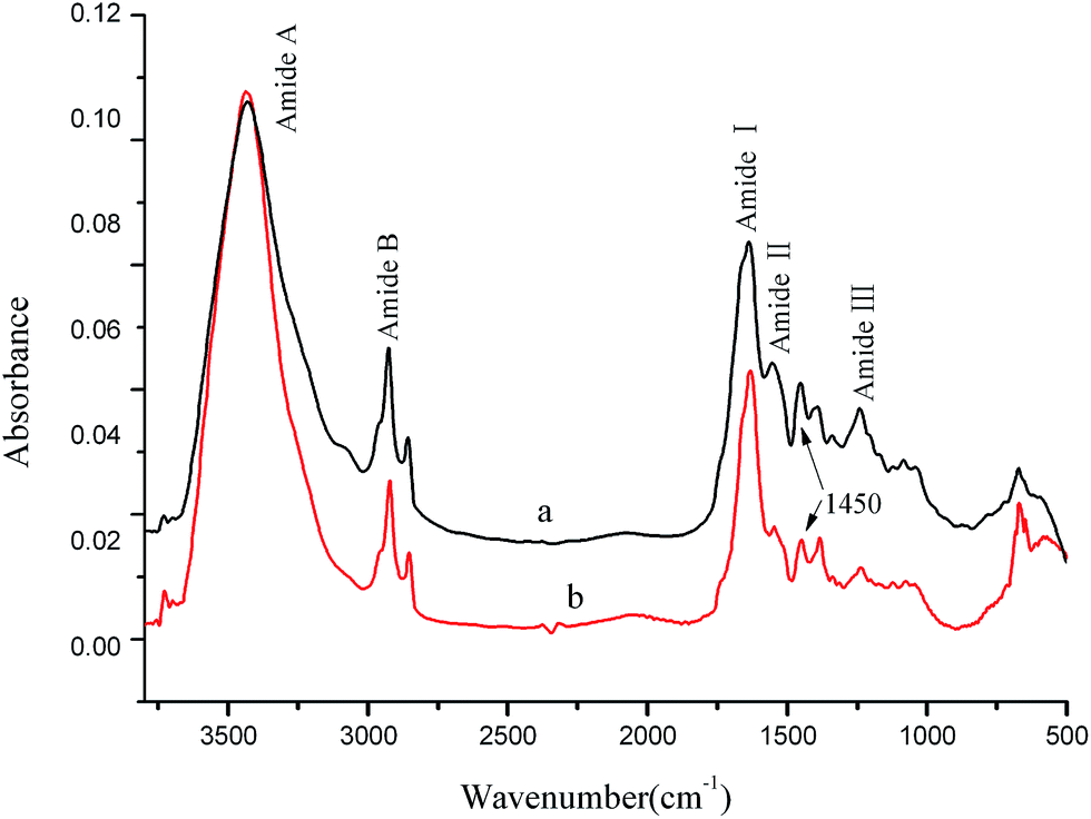 ftir spectra of(a native collagen and(b oybd-modified