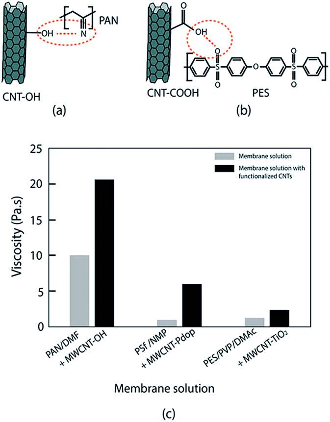 functionalized carbon nanotube (cnt) membrane: progress and