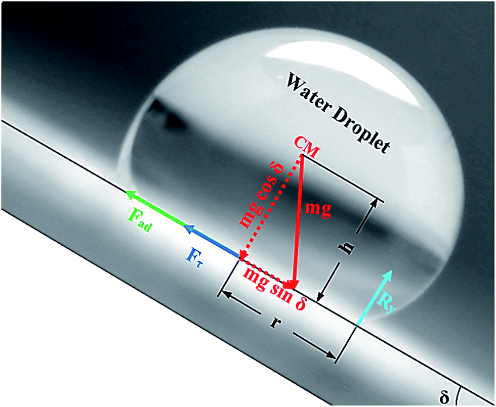 Dynamics of a water droplet on a hydrophobic inclined surface