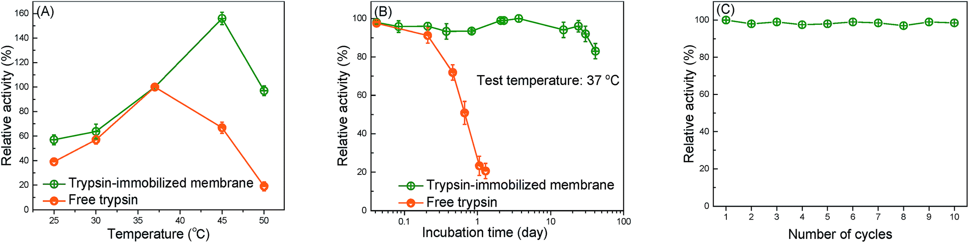 a novel strategy to immobilize enzymes on microporous membranes