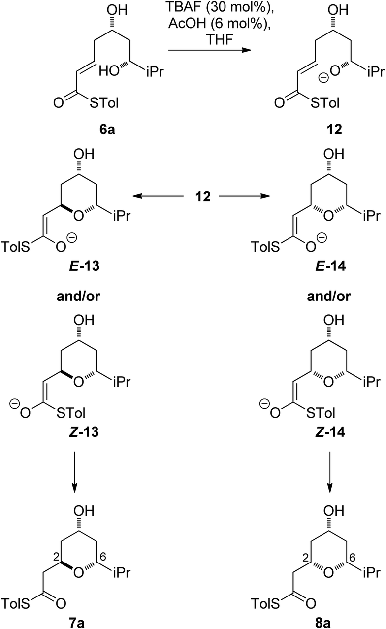 scheme   mechanistic considerations for the tbaf cyclization.