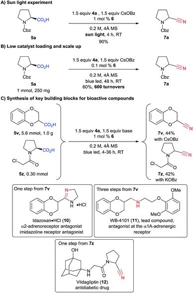 decarboxylative mechanism Ag(i)-catalyzed decarboxylative chlorination of the carboxylic acid with t-buocl has been given a systematic theoretical study according to the calculations, the catalytic cycle was assumed to include four steps: proton-coupled two-electron transfer, oxidative decarboxylation, formation of ag(ii . decarboxylative mechanism Ag(i)-catalyzed decarboxylative chlorination of the carboxylic acid with t-buocl has been given a systematic theoretical study according to the calculations, the catalytic cycle was assumed to include four steps: proton-coupled two-electron transfer, oxidative decarboxylation, formation of ag(ii .