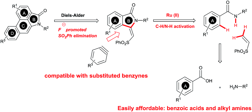 total synthesis of aristolactam alkaloids