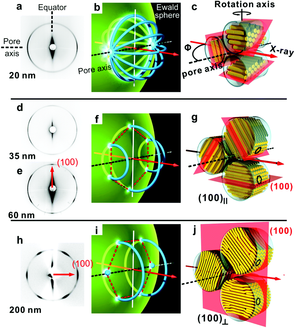 diverse configurations of columnar liquid crystals in