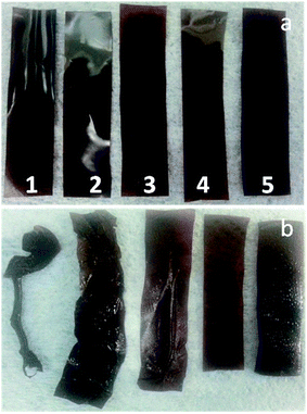 pbi membranes blend rsc crosslinking sulfonated polysulfone thermal based oo photographic fig