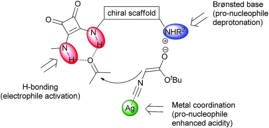 显示使用二氢醌方胺有机催化剂与银路易斯酸结合实现的底物的三重活化的图。