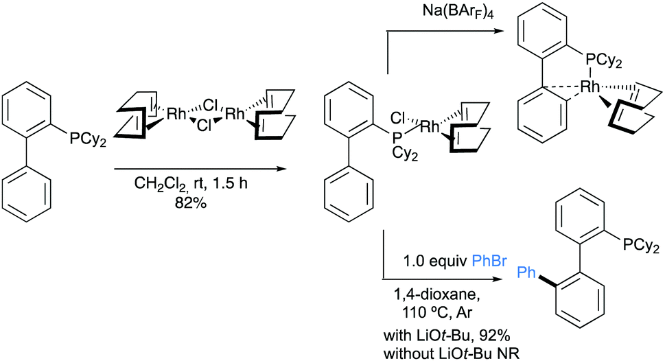 stoichiometric c╟h bond arylation of biphenyl phosphine