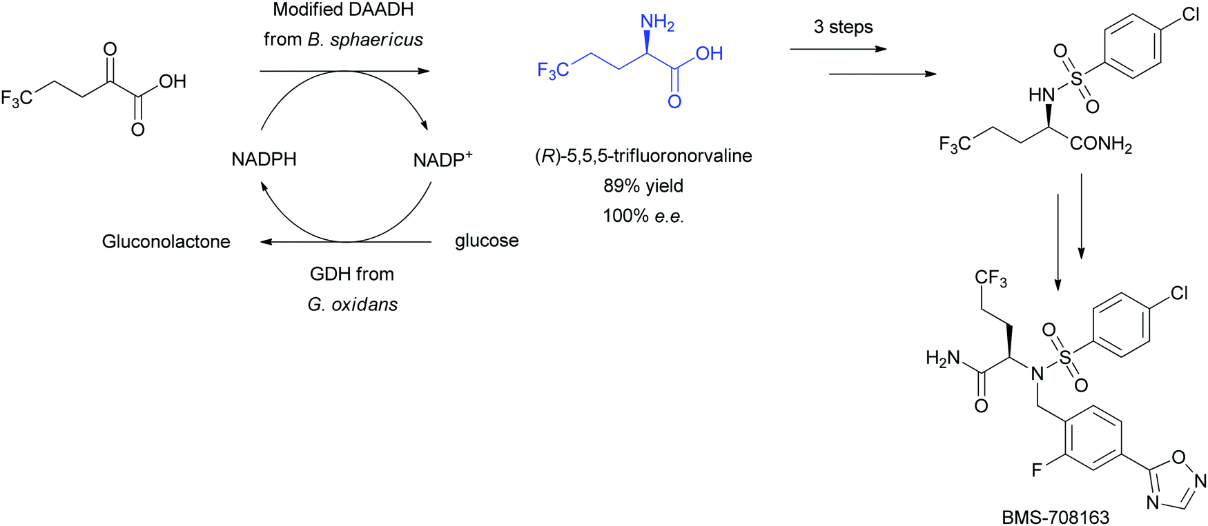 Enzymatic Asymmetric Synthesis Of Chiral Amino Acids Chemical Image File C7cs00253j F16 Tif