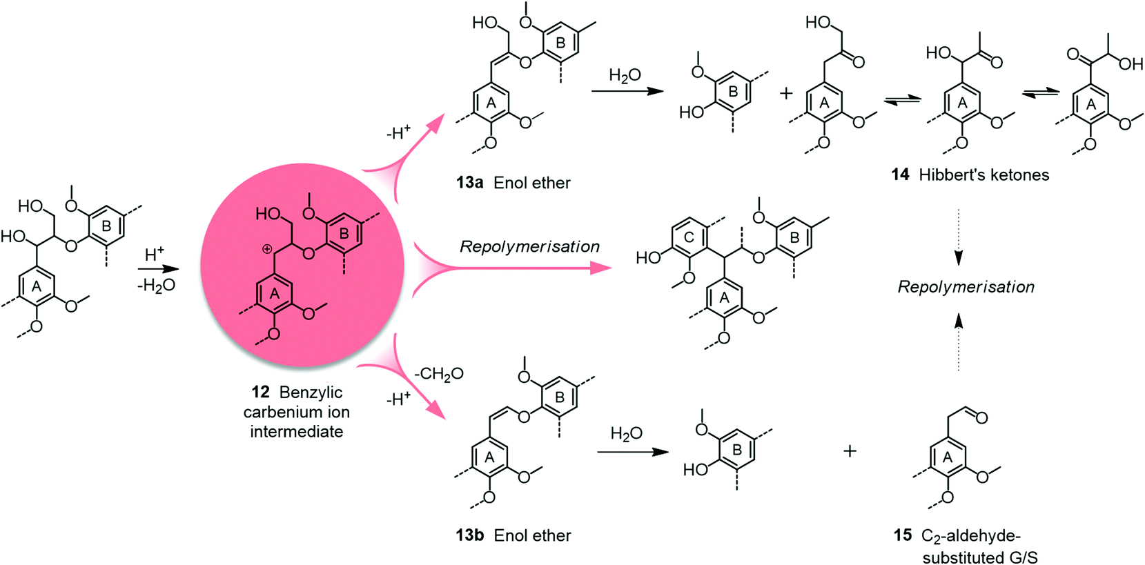 chemicals from lignin an interplay of lignocellulo