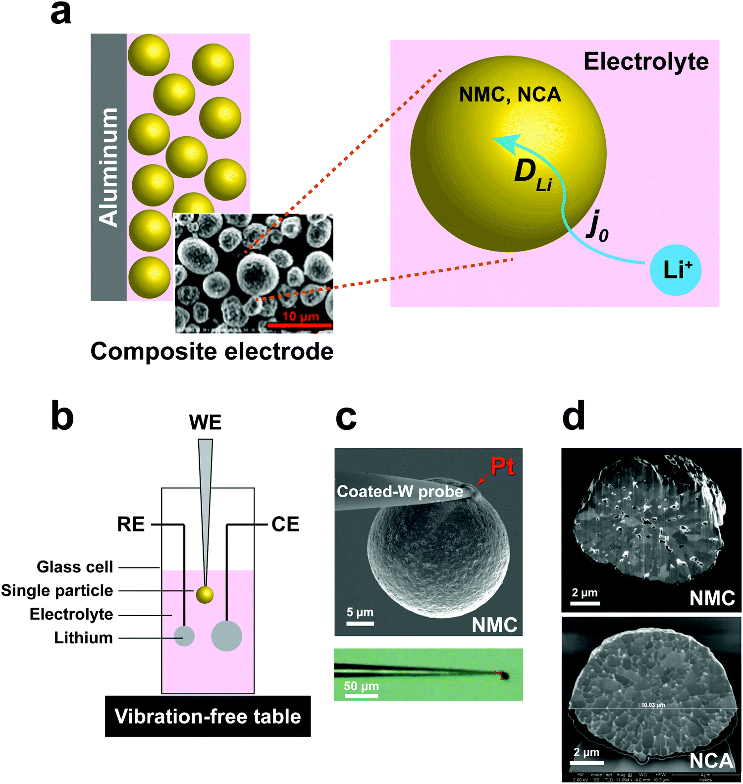 Singleparticle measurements of electrochemical in NMC and NCA