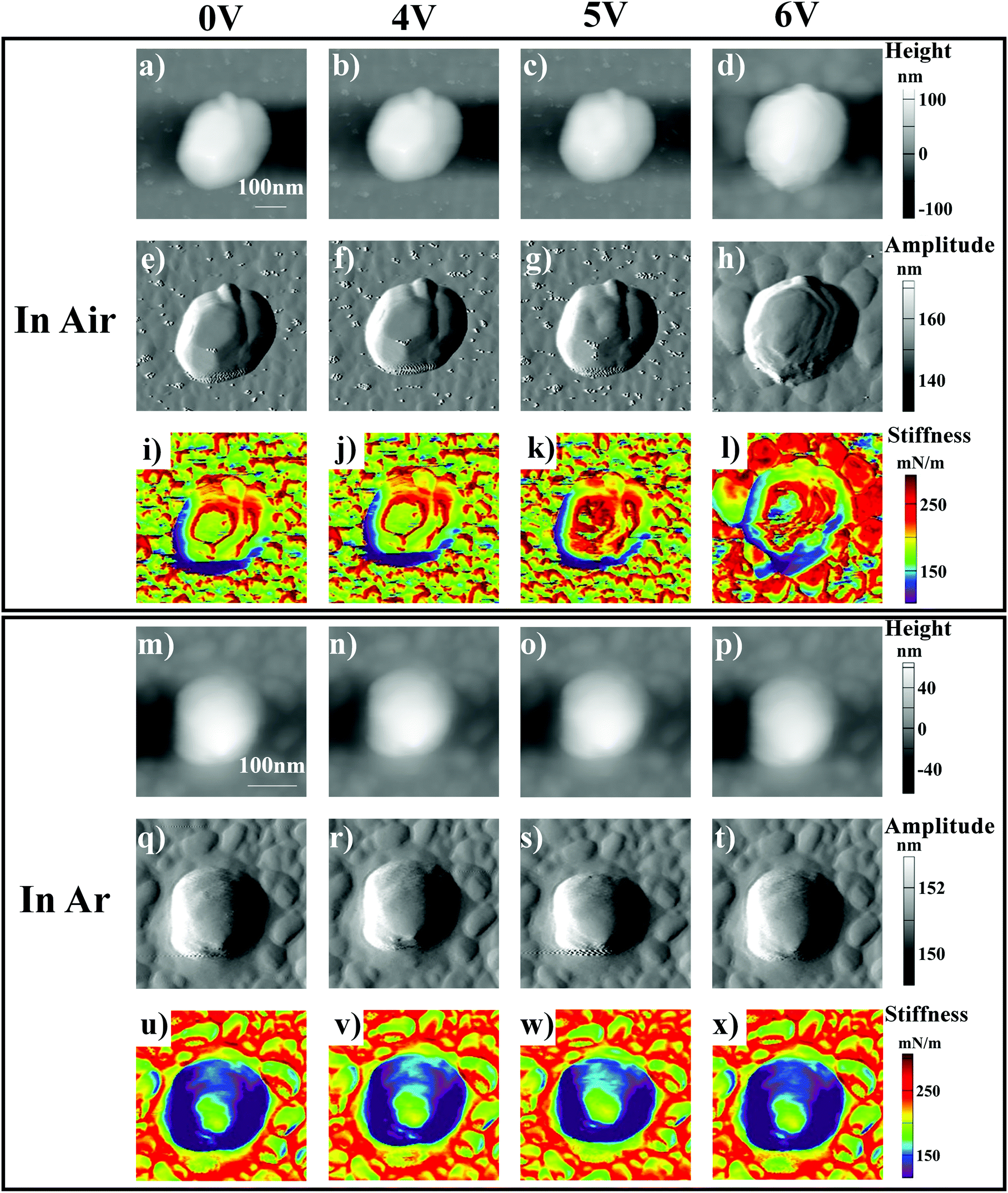 in situ probing behaviors of single linio 2 nanoparticles by in situ probing behaviors of single linio 2 nanoparticles by