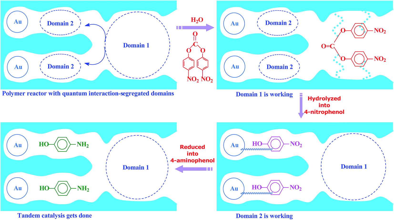 an enzyme-like imprinted-polymer reactor with segregated quantum