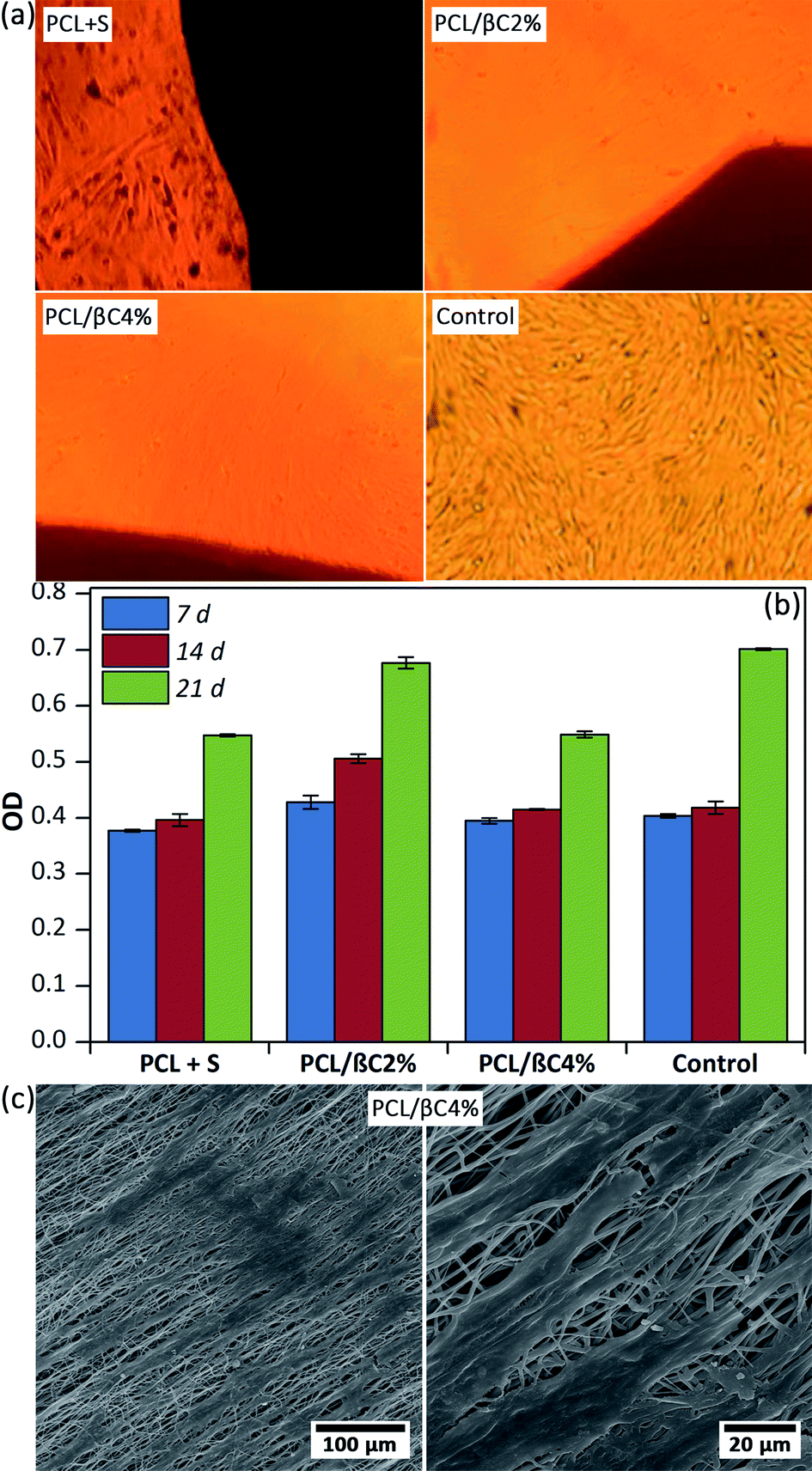 carotene: a natural osteogen to fabricate osteoinductive