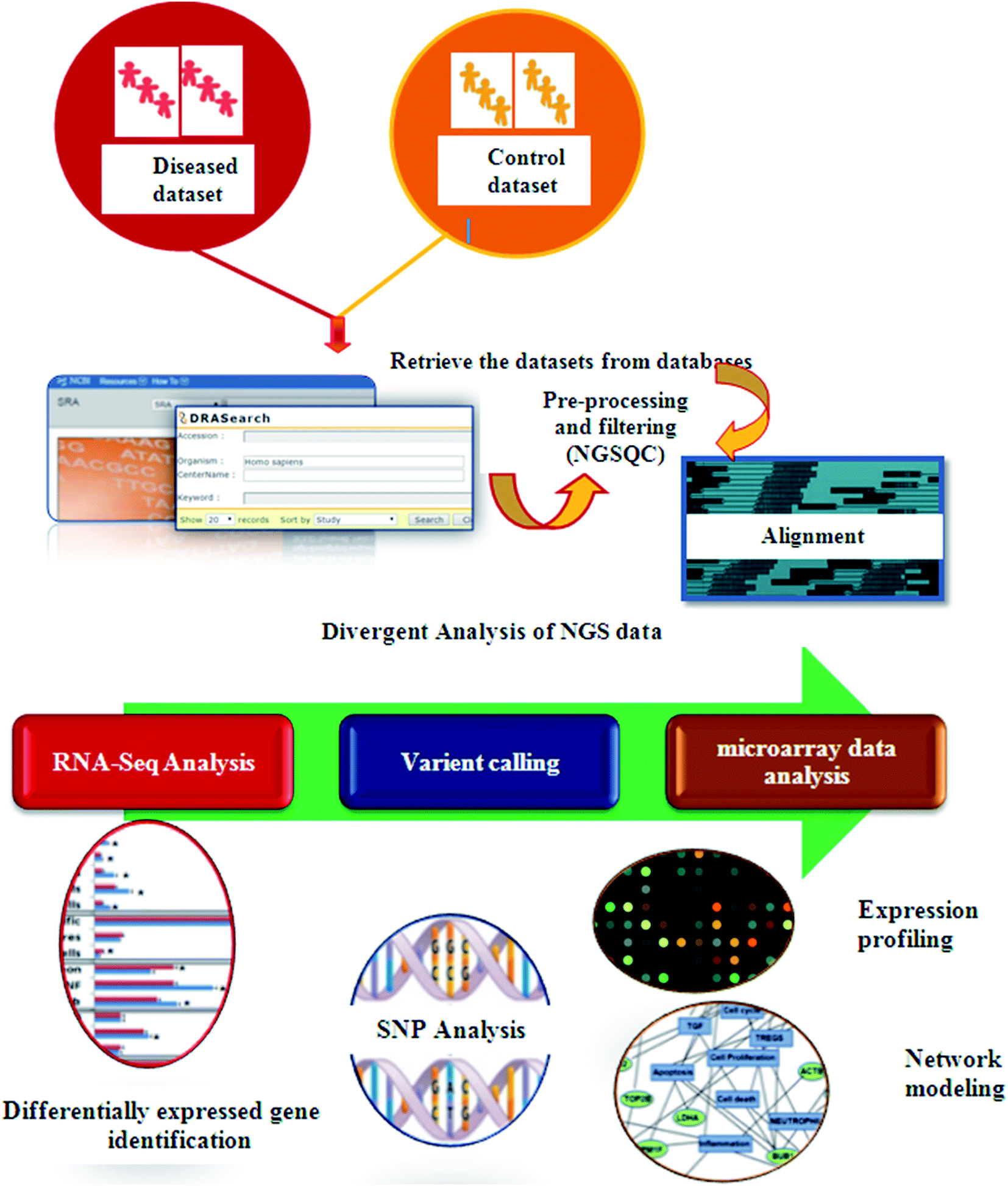 the unequivocal preponderance of biocomputation in clinical