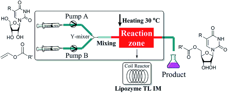 enzymatic synthesis of nucleoside analogues from