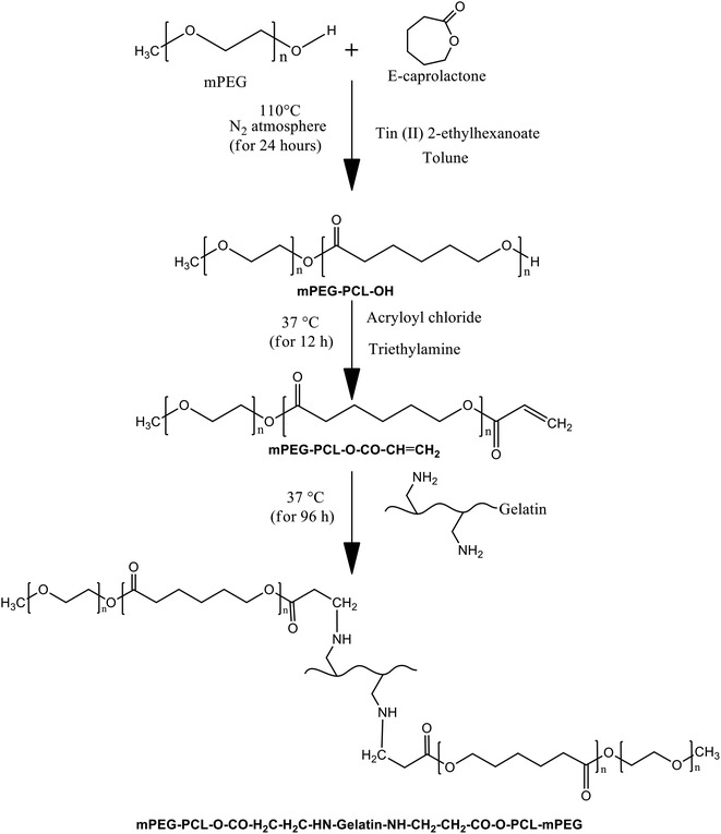 nanofibrous artificial skin substitute composed of mpegcpcl