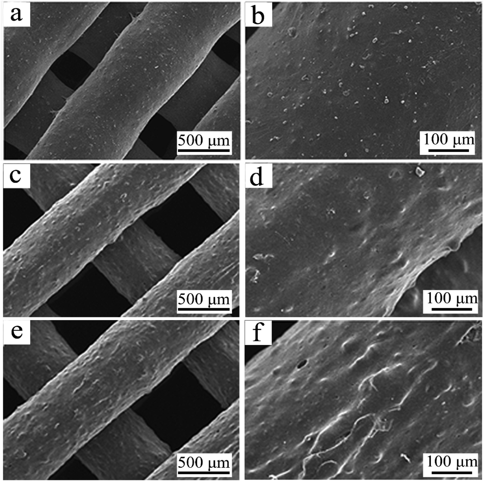Zein regulating apatite mineralization degradability in vitro 2 SEM micrographs of C0 a and b C10 c and d and C20 e and f scaffolds under different magnification
