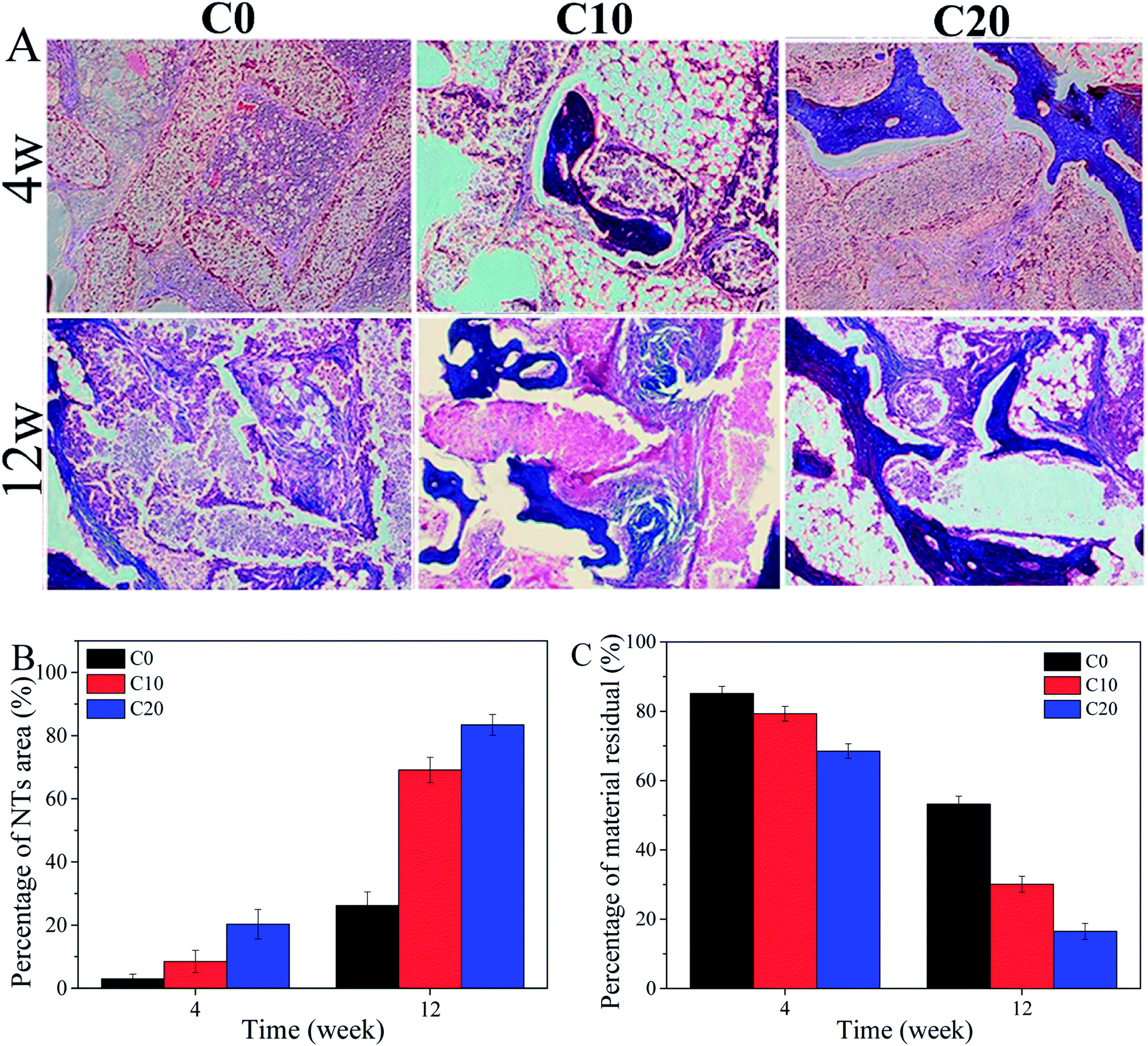 Zein regulating apatite mineralization degradability in vitro 8 of histological sections 100 Masson staining A percentage of NBs area B and material residual C after C0 C10 and C20 scaffolds