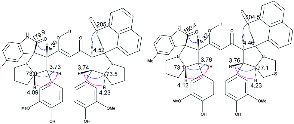 synthesis of diversely substituted bis-pyrrolizidino/ thiopyrrol