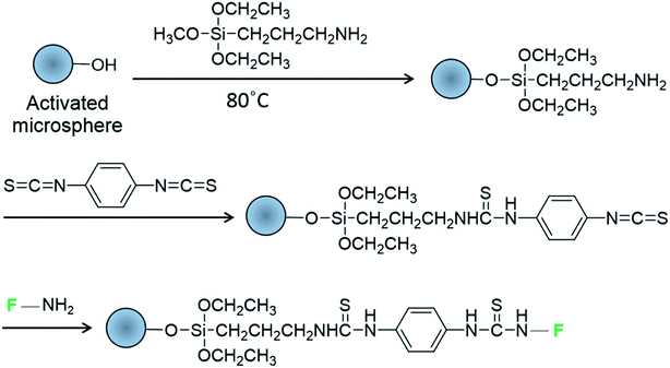 37 for glass spheres and cytosol, respectively) and low