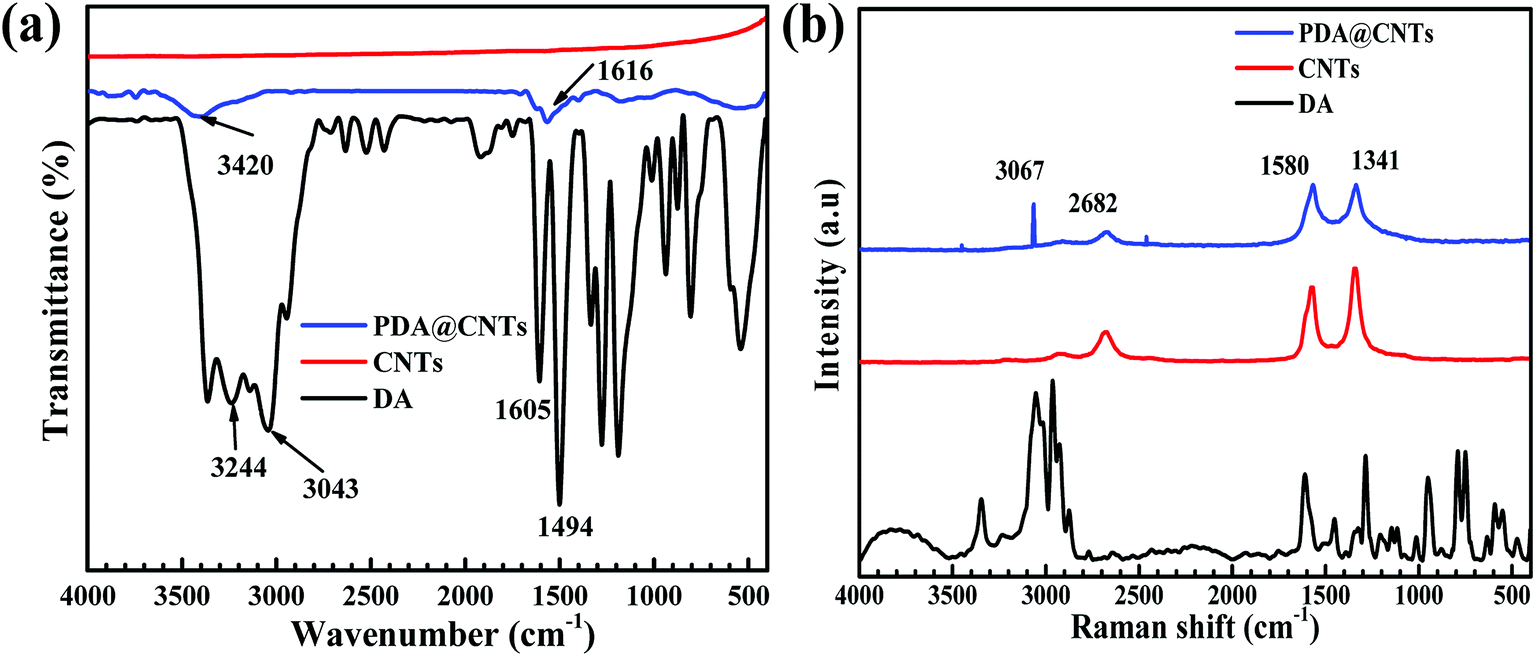 (a ftir and(b raman spectra of da cnts and pda@cnts.