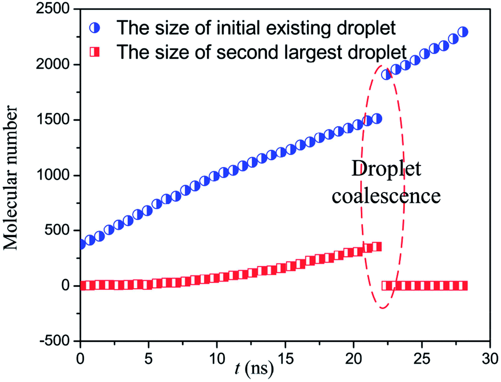 molecular dynamics simulation of droplet nucleation and growth