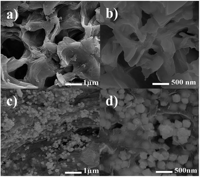 hydrogel, preparation of a novel palladium catalytic hydrogel based on