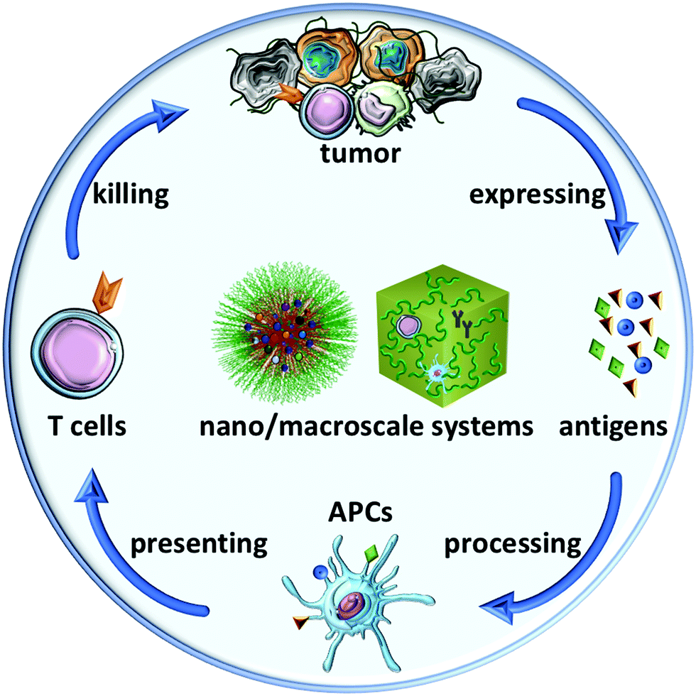 nanomedicine and macroscale materials in immuno-oncology