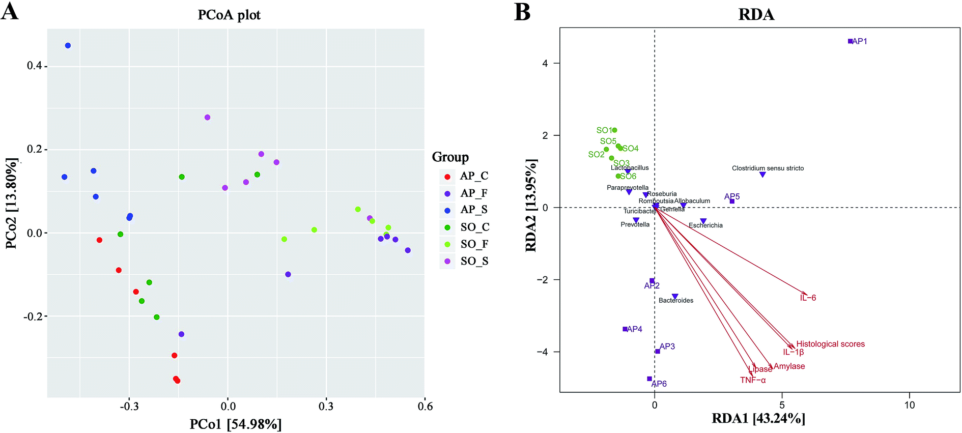 bacterial community mapping of the intestinal tract in acute