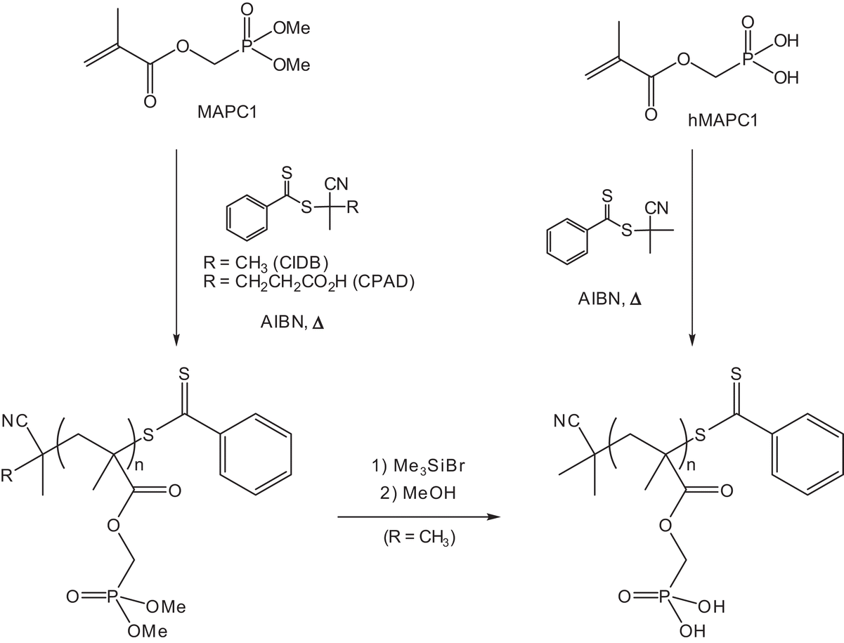Methyl Methacrylate Polymerization
