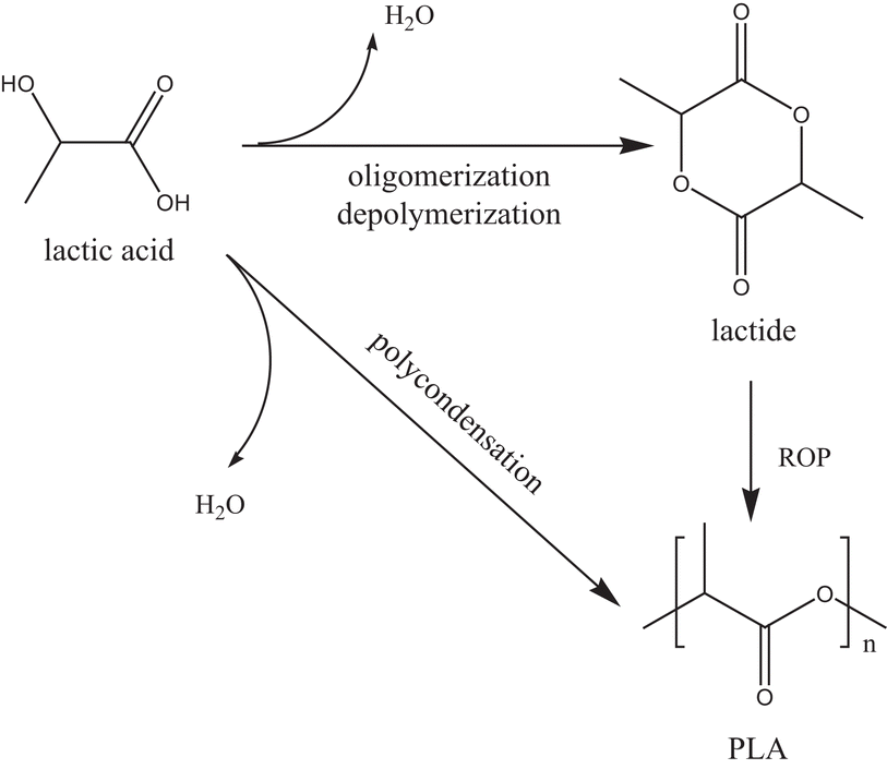 Enzyme used to synthesise pla