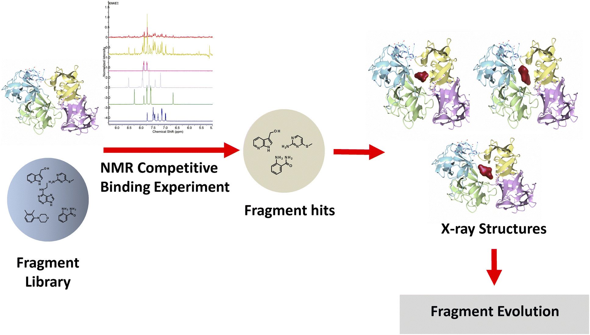 Fragment screening thesis 08 picture