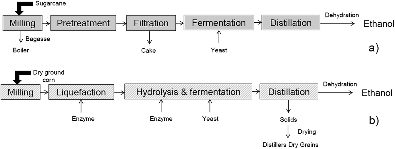 Fermentation research paper