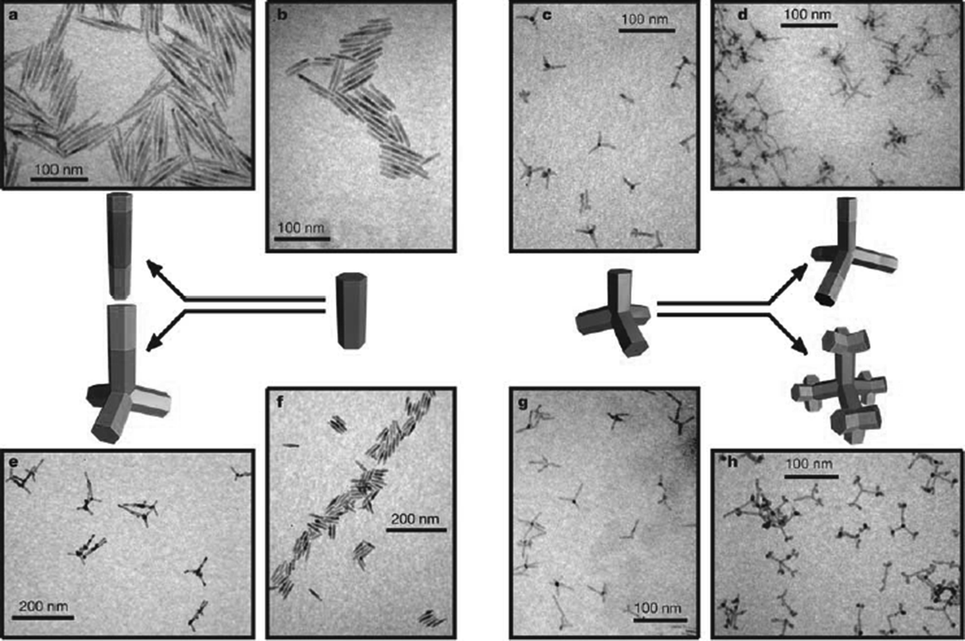 thesis on semiconductor nanomaterials Green synthesis of silver nanoparticles thesis writing 'green green' synthesis of silver nanoparticles by thesis on semiconductor nanomaterialsthesis on semiconductor. thesis on semiconductor nanomaterials Green synthesis of silver nanoparticles thesis writing 'green green' synthesis of silver nanoparticles by thesis on semiconductor nanomaterialsthesis on semiconductor.