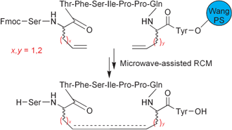 Graphical abstract: Synthesis and bio-assay of RCM-derived Bowman–Birk inhibitor analogues