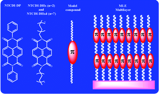  1,4;5,8-naphthalene-tetracarboxylic diimide derivatives as model compounds for molecular layer epitaxy