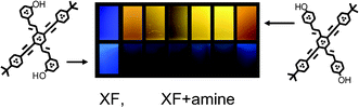 Graphical abstract: Hydroxy-cruciforms