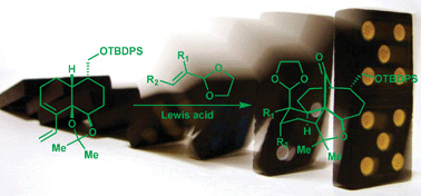 Graphical abstract: Pericyclic domino reactions: concise approaches to natural carbocyclic frameworks