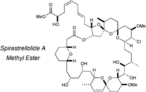 Synthesis and stereochemical determination of the spirastrellolides