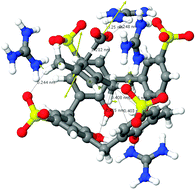 Graphical abstract: Can 1,3-dimethylcyclobutadiene and carbon dioxide co-exist inside a supramolecular cavity?