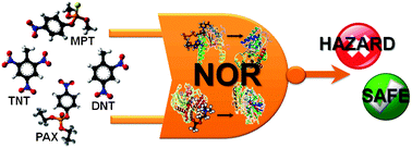 Graphical abstract: High-fidelity determination of security threats via a Boolean biocatalytic cascade