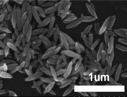 Shuttle-like nanorods