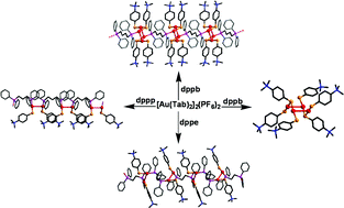Graphical abstract: Reactions of a gold(i) thiolate complex [Au(Tab)2]2(PF6)2 (Tab = 4-(trimethylammonio)benzenethiolate) with diphosphine ligands
