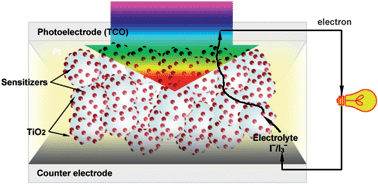 light-harvesting performance