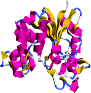 Graphical abstract: Bioactive peptides derived from milk proteins and their health beneficial potentials: an update