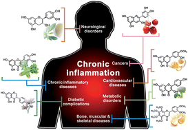 Graphical abstract: Anti-inflammatory activity of natural dietary flavonoids